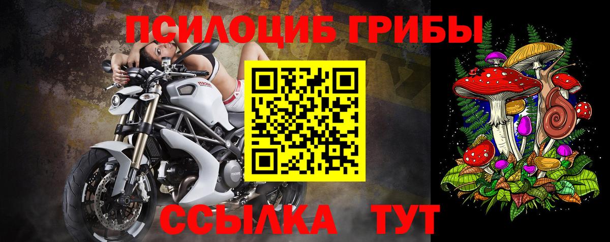 Псилоцибиновые грибы Psilocybe  магазин продажи   Златоуст  Галлюциногенные грибы MAGIC MUSHROOMS  Вход с VPN 